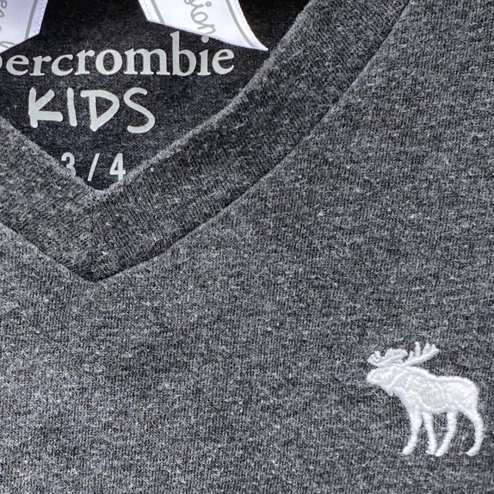 Abercrombie Kids Gray V-neck Short-sleeved Tee size 3/4